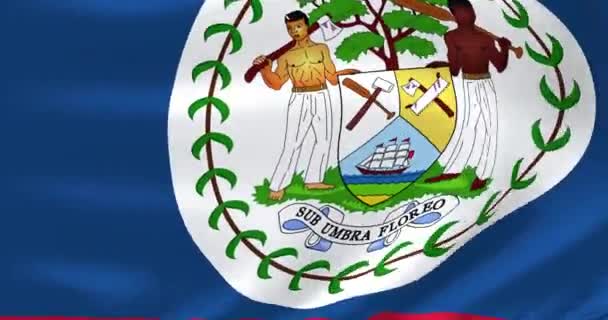 Världens flaggor - Belizes flagga. Viftade mycket detaljerad flagga animation. — Stockvideo