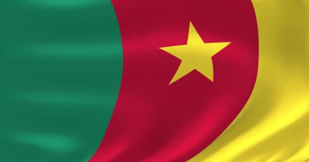 Flags of the world - flag of Cameroon. Waved highly detailed flag animation. — Stock Video