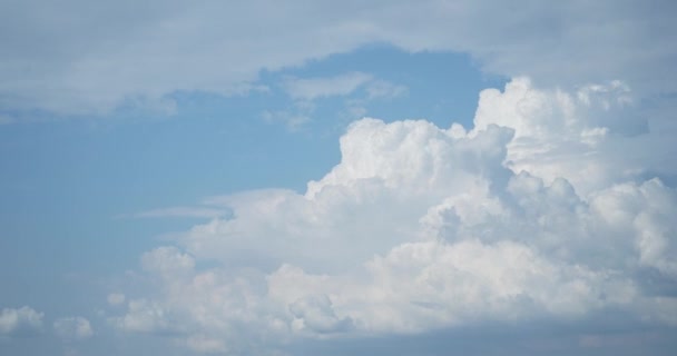 Ciel bleu nuages blancs. Nuages blancs gonflés et moelleux. Cumulus nuage nuages Timelapse paysage. Été ciel bleu time lapse. — Video