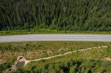 Güneşli bir yaz sabahında çam ağaçlarıyla yeşil ağaçlar arasındaki hava manzaralı yol. Sibirya, Rusya 'da doğa manzarası. Kozalaklı bir ormandan geçen bir yol, İHA 'dan havadan çekilen bir görüntü..