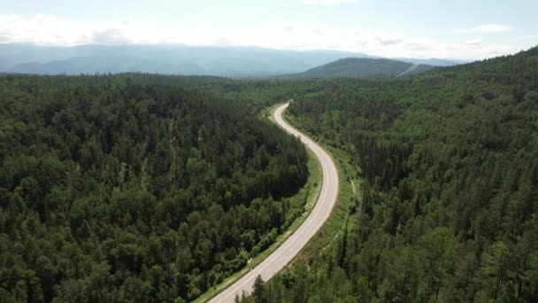 Winding road in the West Siberian taiga ecoregion — Stock Video