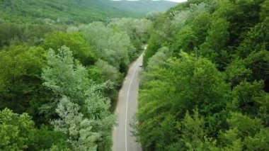Ormandaki kırsal yolda giden beyaz arabanın 4k aşağısındaki hava manzarası. Çam ağacı ormanlarında çakıl yolu üzerinde uçan insansız hava aracı görüntüsü.