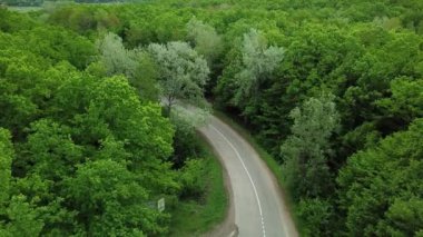 Ormandaki kırsal yolda giden beyaz arabanın 4k aşağısındaki hava manzarası. Çam ağacı ormanlarında çakıl yolu üzerinde uçan insansız hava aracı görüntüsü.