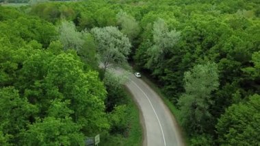 Ormandaki kırsal yolda giden beyaz arabanın 4k aşağısındaki hava manzarası. Çam ağacı ormanlarında çakıl yolu üzerinde uçan insansız hava aracı görüntüsü.
