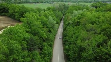 Ormandaki kırsal yolda giden beyaz arabanın 4k aşağısındaki hava manzarası. Çam ağacı ormanlarında çakıl yolu üzerinde uçan insansız hava aracı görüntüsü.