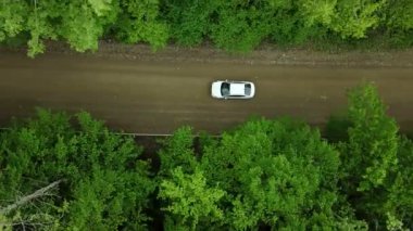 Ormandaki kırsal yolda giden beyaz arabanın 4k aşağısındaki hava manzarası. Çam ağacı ormanlarında çakıl yolu üzerinde uçan insansız hava aracı görüntüsü.