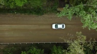 Ormandaki kırsal yolda giden beyaz arabanın 4k aşağısındaki hava manzarası. Çam ağacı ormanlarında çakıl yolu üzerinde uçan insansız hava aracı görüntüsü.