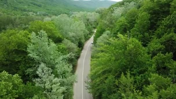 Luchtfoto naar beneden 4k uitzicht op witte auto rijden op landelijke weg in het bos. Cinematische drone schot vliegen over grindweg in dennenbos — Stockvideo