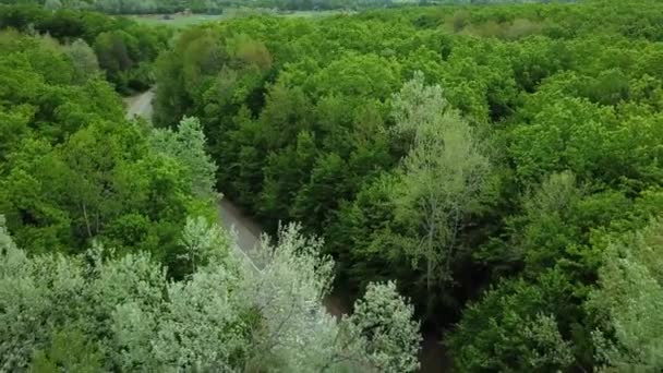 Vista aérea de cima para baixo 4k do carro branco que conduz na estrada rural na floresta. Drone cinematográfico disparado voando sobre a estrada de cascalho na floresta de pinheiros — Vídeo de Stock