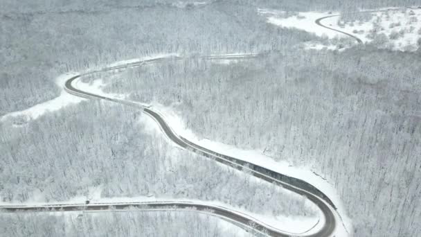 Drony Widok oczu - kręta droga z przełęczy wysokiej góry w zimie. Świetna wycieczka przez gęste lasy. — Wideo stockowe