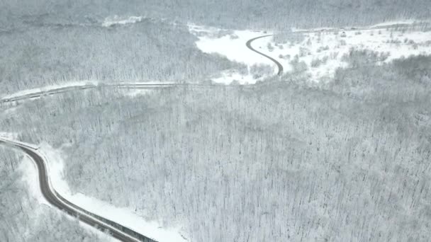 Drones Eye View - route sinueuse depuis le col de haute montagne en hiver. Grand road trip à travers les bois denses. — Video