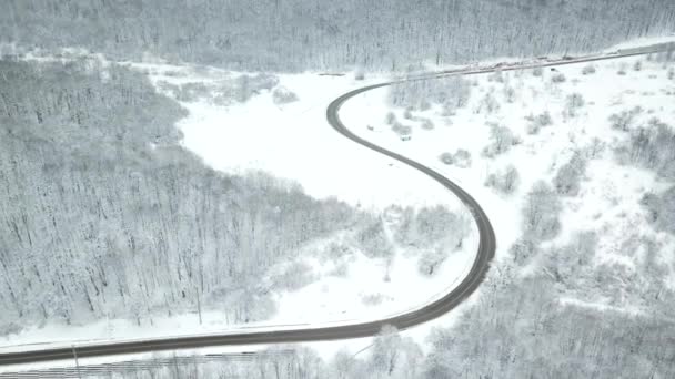 Drones Eye View - kronkelende weg vanaf de hoge bergpas in de winter. Grote roadtrip door de dichte bossen. — Stockvideo