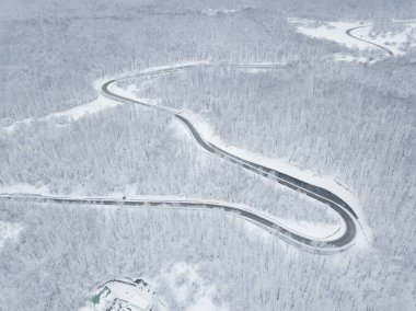 Drones Eye View - Güney Rusya 'daki yüksek dağ geçidinden gelen kış virajı yolu. Yoğun ormanda harika bir yolculuk..
