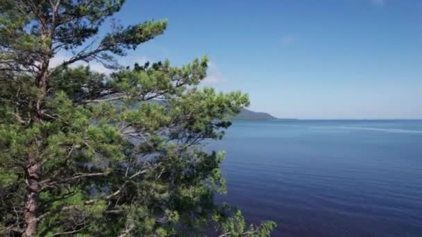 Sommer Luftbilder des Baikalsees ist ein Rift Lake im Süden Sibiriens, Russland Baikalsee Sommer Landschaft Ansicht. Drohnen aus der Vogelperspektive. — Stockvideo