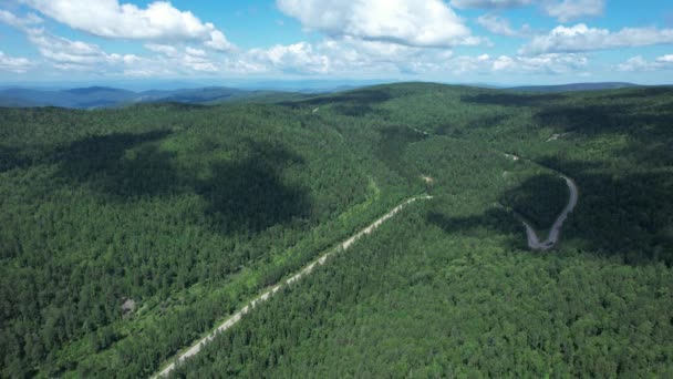 Carretera sinuosa en la ecorregión de la taiga de Siberia Occidental — Vídeo de stock