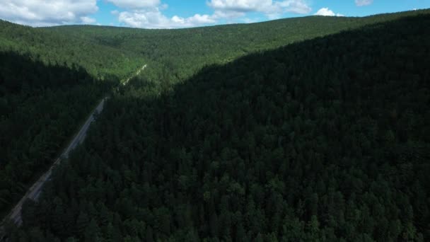 Winderige weg in de West Siberische taiga ecoregio — Stockvideo