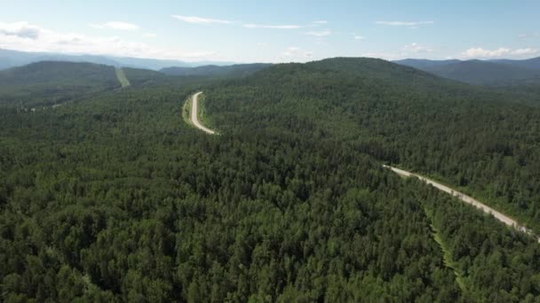 Válcování silnice v západní sibiřské taiga ekoregionu — Stock video