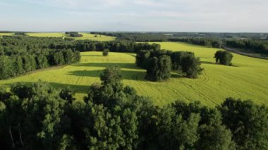 Asfalt karayolu mavi bulutlu gökyüzünün altındaki yaz tarlaları arasında. Güzel kırsal alan.