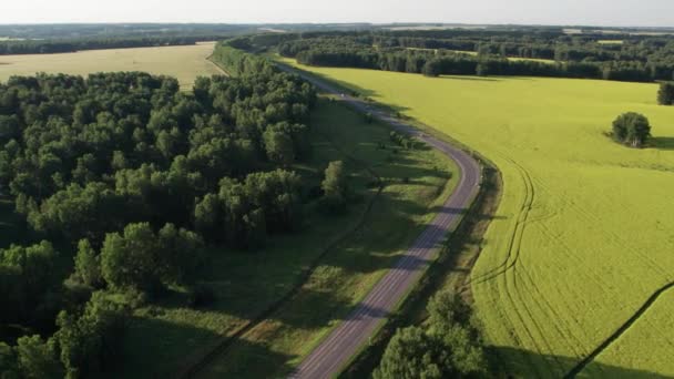 Droga asfaltowa autostrady wśród letniego pola pod błękitnym zachmurzonym niebem. Piękny krajobraz wiejski. — Wideo stockowe