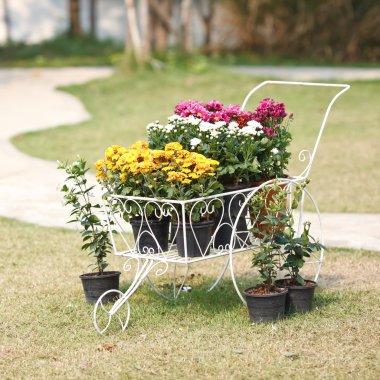 Açık görünümü arka plan ile vazoda çiçek.