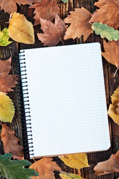 Herbst Hintergrund mit trockenen Blättern — Stockfoto