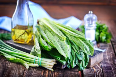 taze yeşillik salatası