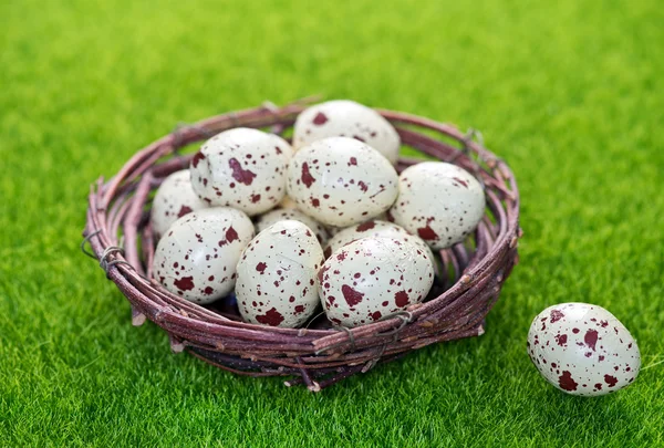 Kwartel eieren in nest op gras — Stockfoto