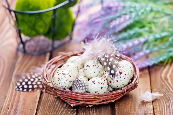 Bıldırcın yumurta yuva ve lavanta — Stok fotoğraf