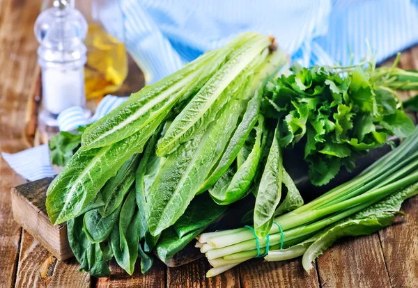 Färska gröna för sallad — Stockfoto