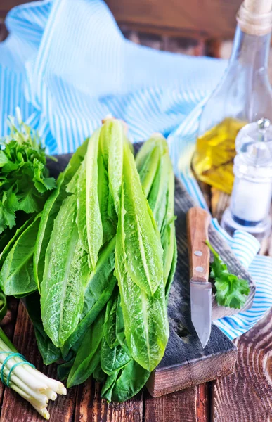 Taze yeşillik salatası — Stok fotoğraf