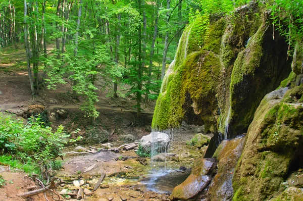 Vodopád v Krymu jaro forest — Stock fotografie