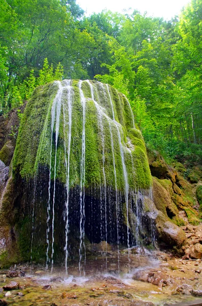 Waterfall in Crimea spring forest — Stock Photo, Image