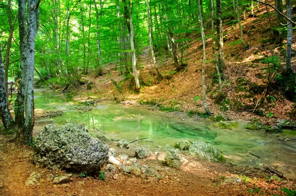 Cascata nella foresta di primavera di Crimea — Foto Stock