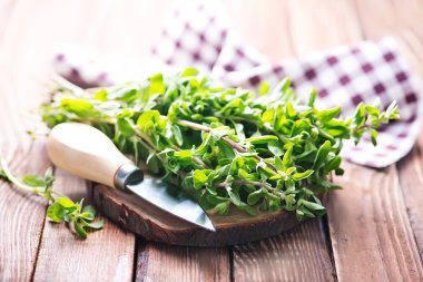 Taze aroma bitki, mercanköşk 