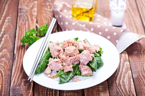 Salade met tonijn op wit bord — Stockfoto