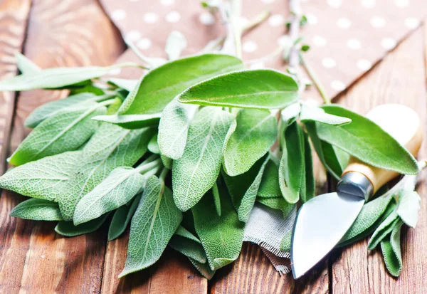Fresh green sage with knife — Stock Photo, Image