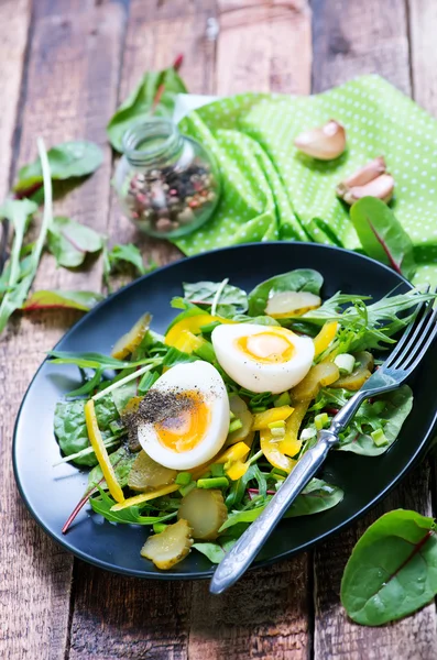 POCHOUTKOVÝ salát s vejcem — Stock fotografie