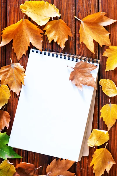 Autumn background with yellow leaves — Stock Photo, Image