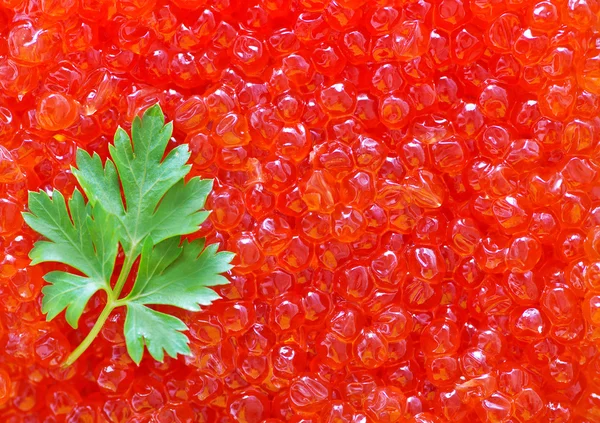 Caviar de salmón rojo —  Fotos de Stock