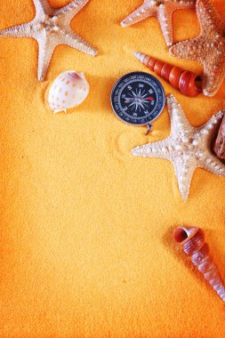 renk deniz kabukları ve deniz yıldızı