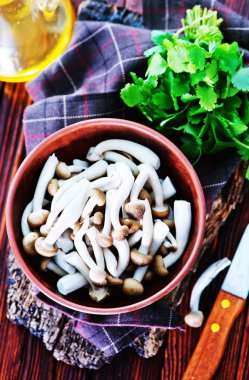 Kabın içinde ham mantar 