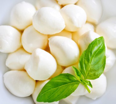 mozzarella ve fesleğen plaka üzerinde 