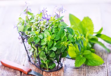 metal sepet içinde taze bitkisel