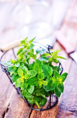 metal sepet içinde taze bitkisel