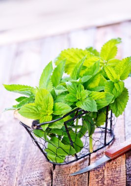  Tahta masada nane şekeri.