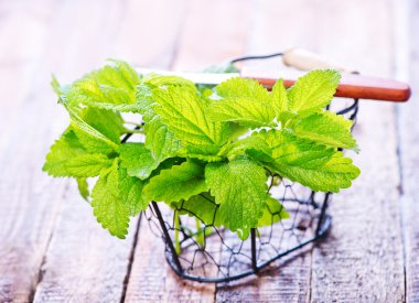  Tahta masada nane şekeri.