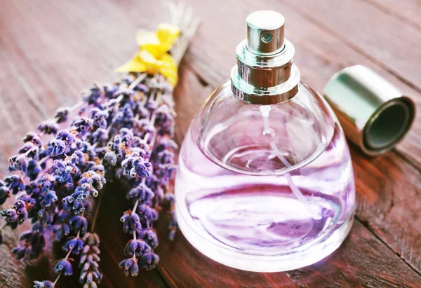 Perfume de lujo y flores de lavanda — Foto de Stock