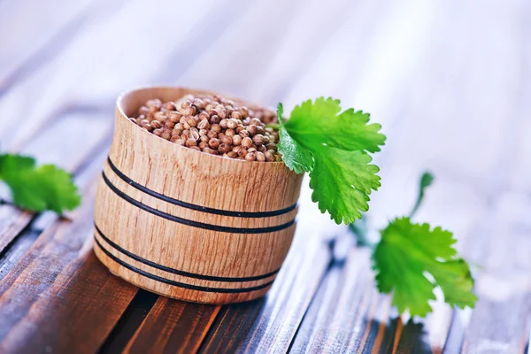 Coriander in bowl and on a table — Stock Photo, Image