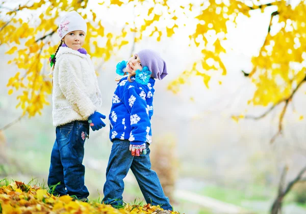 Little sisters   in autumn park — Stock Photo, Image