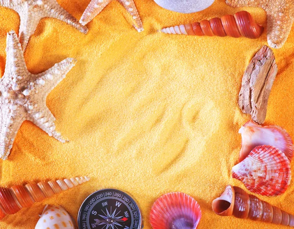 彩色海贝壳和海星 — 图库照片